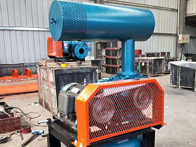 密集型羅茨鼓風(fēng)機圖片2