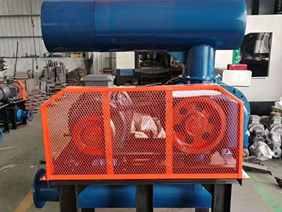 密集型羅茨鼓風(fēng)機圖片4