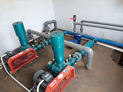 污水處理羅茨風(fēng)機(jī)圖片1